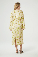 Darina Dress - Versailles