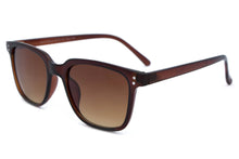 Manzo Transparent Brown Sunglasses
