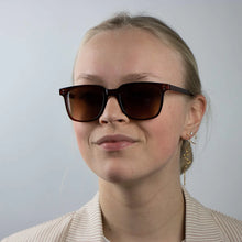 Manzo Transparent Brown Sunglasses