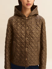 Quilted Hooded Jacket