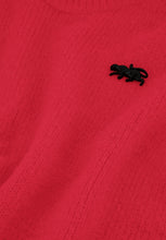 Red Jumper with Embroidered Detail